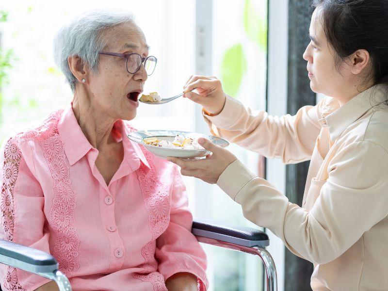 屏東長照