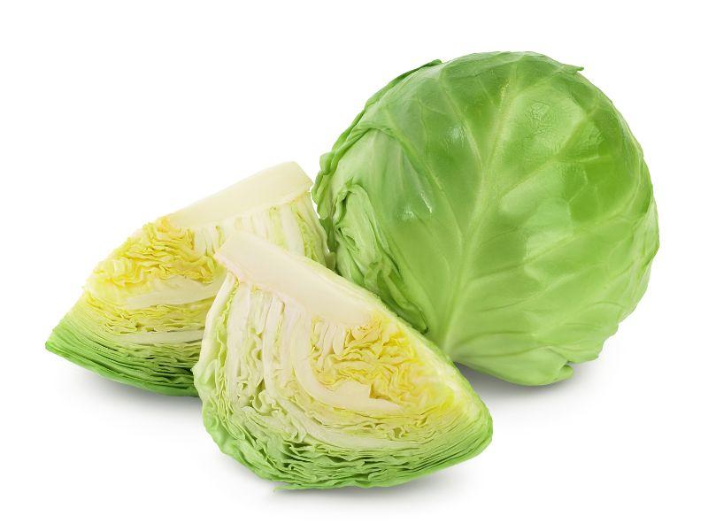高麗菜大解析