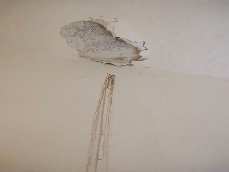 專業抓漏快速處理